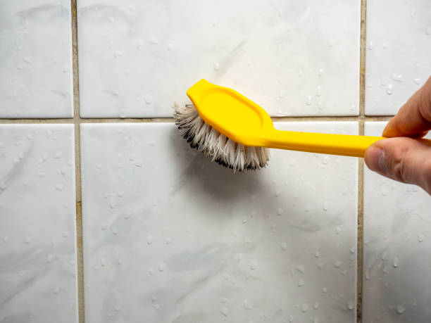 Best Affordable Mold Removal  in Baldwinsville, NY